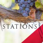 banner2_weather_station_v2_fullwidth