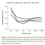 effects-of-filtration