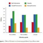 effects-of-filtration-sensory