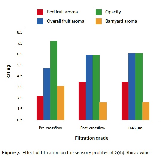 effects-of-filtration-sensory