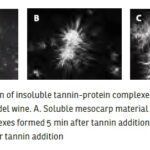 insoluble-tannin-protein