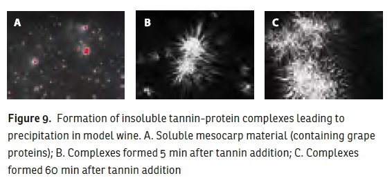 insoluble-tannin-protein