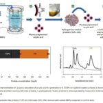 iplasma-deposition