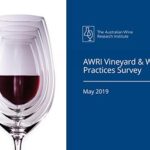 vineyard-report