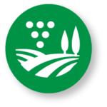 grape production icon – green