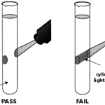visual assessment using a light source 2