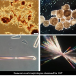 KHT unusual morphologies