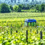 tractor vineyard