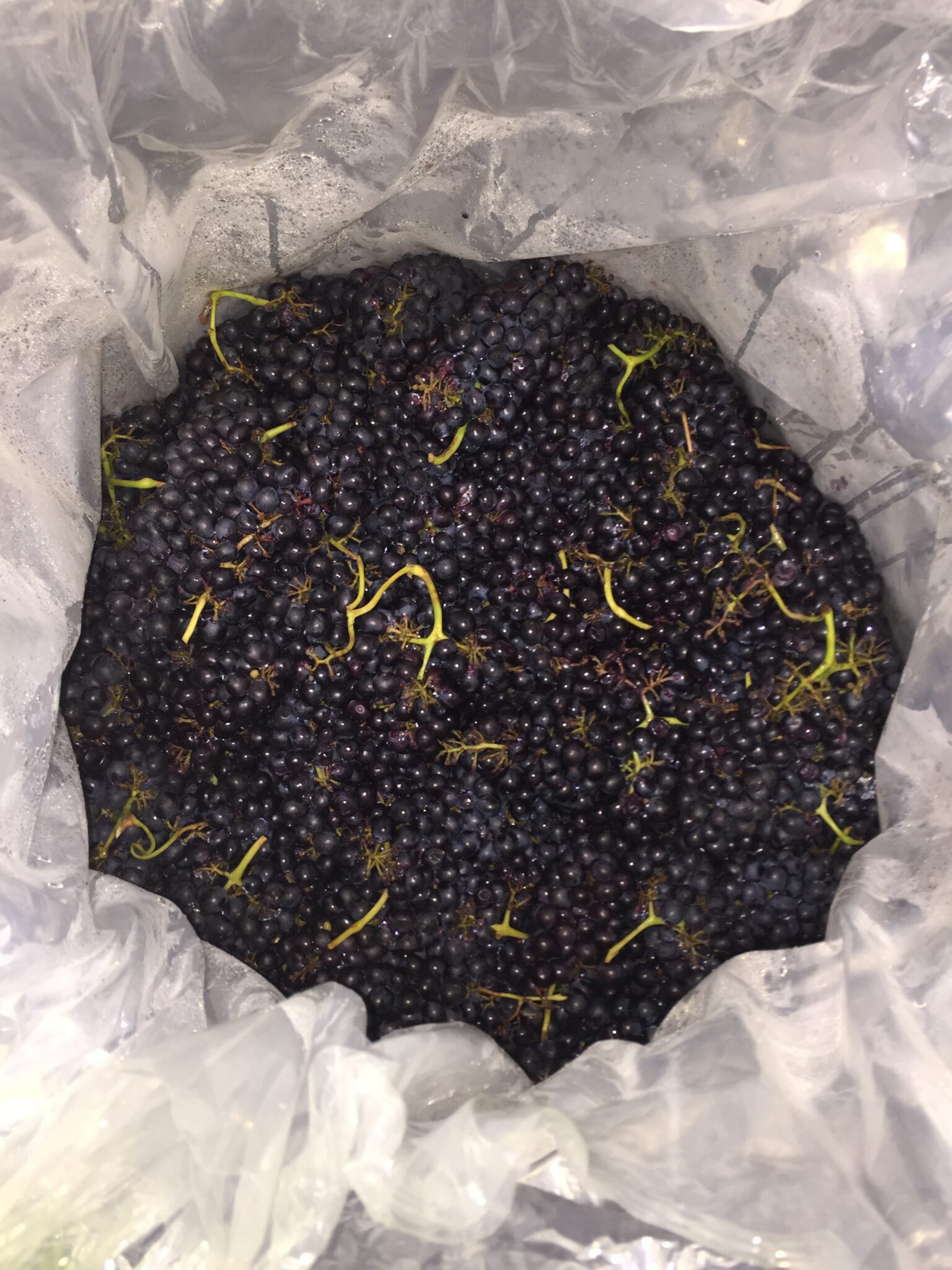 WINEMAKING TREATMENT CARBONIC MACERATION The Australian Wine