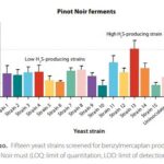 Annual Report 2020-2021. Figure 20. Pinot Noir ferments.