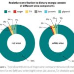 Relative contribution to dietary energy content of different wine components