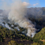 smoke-vineyard-360px