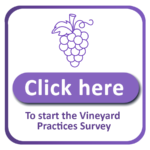 Button-title-click-here-viti
