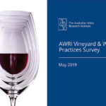 survey-report-600px