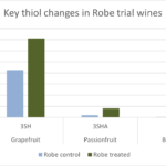 Robe graph
