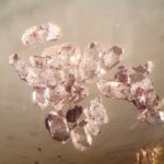 Calcium tartrate