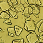 Potassium Hydrogen Tartrate (KHT)