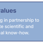 Foundation statement_Values