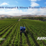 Vinyard practices survey 2nd ed cover