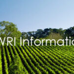 banner2_information_services