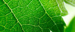 resources_viti_1