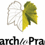 rtp-logo
