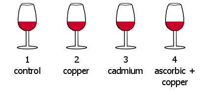 Wines glasses